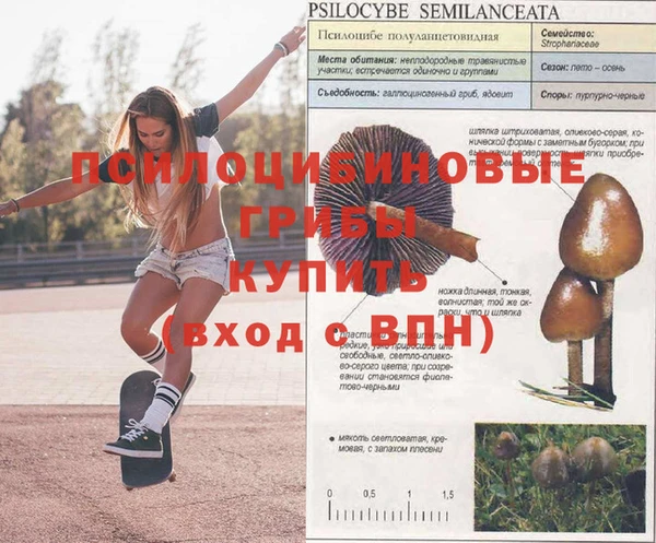 бошки Абинск